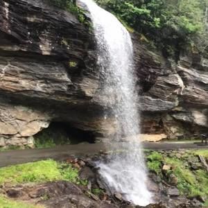 Meet your Posher, Terry